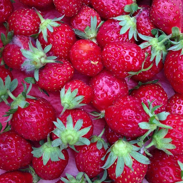 #contestgram#ctsgr33 #MaraDesBois #Strawberries
