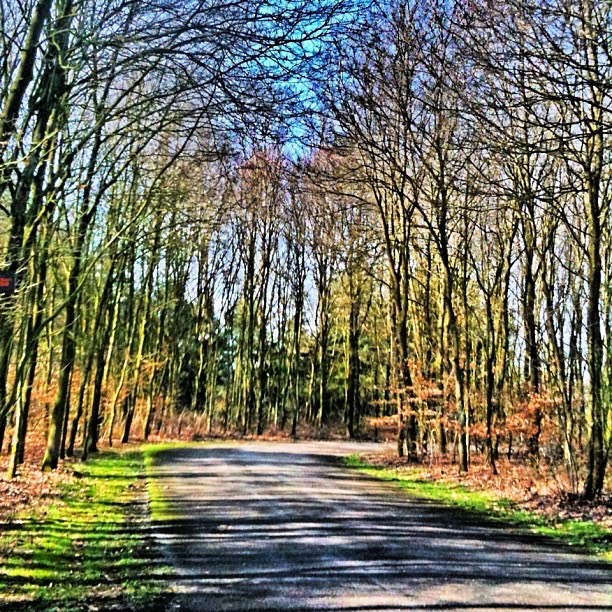 wood road
